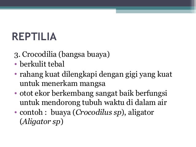 Klasifikasi hewan