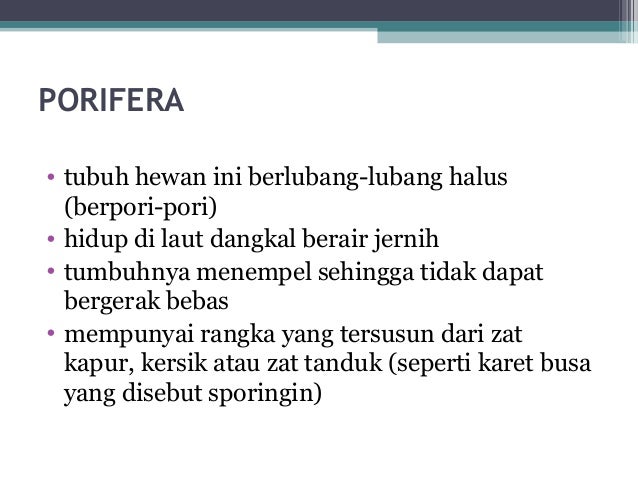 Klasifikasi Hewan