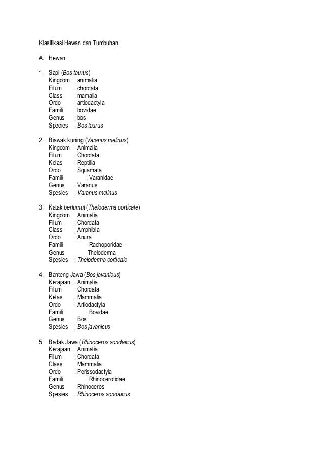 Klasifikasi Hewan Tumbuhan Klasifikasi Hewan Tumbuhan