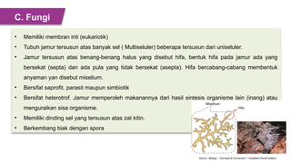 Jamur Multiseluler KLASIFIKASI LIMA KINGDOMyaaaaaaaaaaaaaaaaaaaaaa .pptx