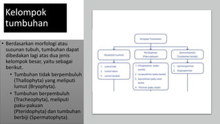Kelompok
tumbuhan
• Berdasarkan morfologi atau
susunan tubuh, tumbuhan dapat
dibedakan lagi atas dua jenis
kelompok besar, yaitu sebagai
berikut.
• Tumbuhan tidak berpembuluh
(Thallophyta) yang meliputi
lumut (Bryophyta).
• Tumbuhan berpembuluh
(Tracheophyta), meliputi
paku-pakuan
(Pteridophyta) dan tumbuhan
berbiji (Spermatophyta).
 