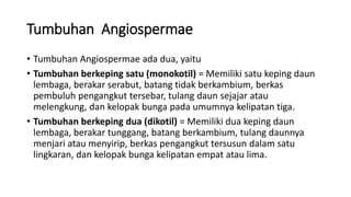 Tumbuhan Angiospermae
• Tumbuhan Angiospermae ada dua, yaitu
• Tumbuhan berkeping satu (monokotil) = Memiliki satu keping daun
lembaga, berakar serabut, batang tidak berkambium, berkas
pembuluh pengangkut tersebar, tulang daun sejajar atau
melengkung, dan kelopak bunga pada umumnya kelipatan tiga.
• Tumbuhan berkeping dua (dikotil) = Memiliki dua keping daun
lembaga, berakar tunggang, batang berkambium, tulang daunnya
menjari atau menyirip, berkas pengangkut tersusun dalam satu
lingkaran, dan kelopak bunga kelipatan empat atau lima.
 