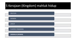 5 Kerajaan (Kingdom) mahluk hidup
PROTISTA
MONERA
JAMUR
PLANTAE (TANAMAN)
ANIMALIA (HEWAN)
 