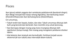 Pisces
Ikan (pices) adalah anggota dari vertebrata poikilotermik (berdarah dingin).
Ikan dibagi menjadi ikan tanpa rahang (Agnatha), ikan bertulang rawan
(Chondrichthyes) dan ikan bertulang keras (Osteichthyes).
Ciri umumnya,
• Tubuh terdiri dari kepala, badan, dan ekor. Tubuh umumnya ditutupi oleh
kulit yang bersisik dan berlendir. Ikan memiliki sirip untuk berenang.
• Ikan bernapas dengan insang yang mana insangnya ditutupi oleh
operkulum (tutup insang). Dan insang yang mengalami pelebaran disebut
labirin.
• Alat kelamin ikan terpisah ata hermafrodit. Fertilisasi terjadi secara
eksternal (di luar tubuh) atau internal(di dalam tubuh).
 