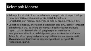 Kelompok Monera
• Kelompok makhluk hidup tersebut mempunyai ciri-ciri seperti selnya
tidak memiliki membran inti (prokariotik), bersel satu
(uniseluler), dan mampu berkembang biak dengan membelah diri.
• Contoh kelompok Monera ialah bakteri dan alga biru. Bakteri terdapat
di lingkungan kita, ada yang bermanfaat bagi kehidupan manusia
seperti bakteri Escherichia coli yang berperan membantu
memproduksi vitamin K melalui proses pembusukan sisa makanan.
Ada pula bakteri yang berbahaya bagi kehidupan manusia seperti
Mycobacterium tuberculosis yang menyebabkan penyakit TB
(tuberculosis paru).
 