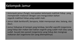 Kelompok Jamur
• Kelompok jamur (fungi), merupakan kelompok makhluk hidup yang
memperoleh makanan dengan cara menguraikan bahan
organik makhluk hidup yang sudah mati.
• Jamur tidak berklorofil, berspora, tidak mempunyai akar, batang, dan
daun.
• Jamur hidupnya di tempat yang lembap, bersifat saprofit (organisme
yang hidup dan makan dari bahan organik yang sudah mati atau yang
sudah busuk) dan parasit (organisme yang hidup dan mengisap
makanan dari organisme lain yang ditempelinya)
 