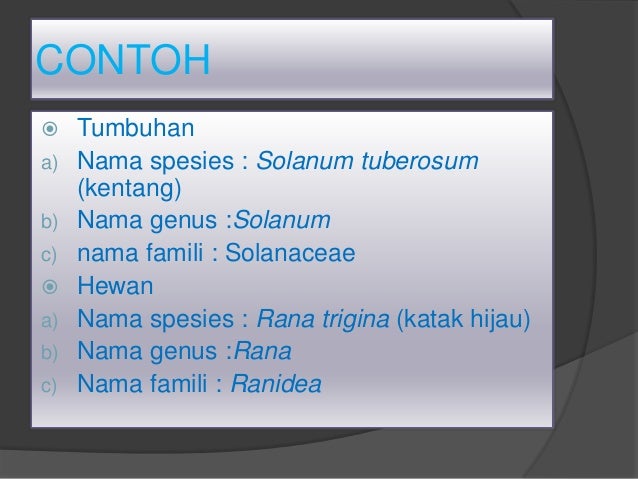 Contoh Kunci Identifikasi Hewan - URasmi