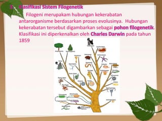 Filogeni Klasifikasi makhluk hidup | PPTX