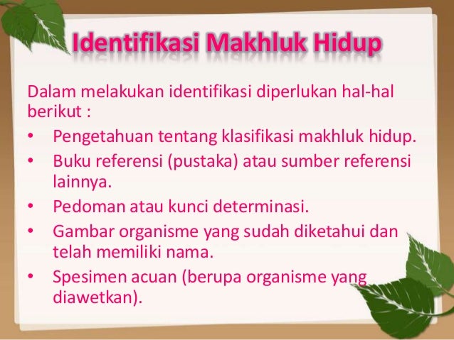 Good Pertanyaan Kritis Tentang Klasifikasi Makhluk Hidup