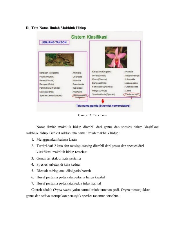 Klasifikasi makhluk hidup bahan ajar