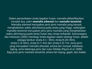 Dalam pemanfaatan strata tegakan hutan, mamalia diklasifikasikan
menjadi dua, yakni mamalia arboreal dan mamalia terestrial.
Mamalia arboreal merupakan jenis-jenis mamalia yang banyak
menghabiskan waktu aktivitasnya pada strata yang tinggi, sedangkan
mamalia terestrial merupakan jenis-jenis mamalia yang menghabiskan
waktu aktivitasnya pada lantai hutan atau strata terbawah. Soerianegara
dan Indrawan (2002) membagi strata tegakan dalam ekologi hutan, adalah
sebagai berikut: strata A (> 30m), strata B (20-30m),
strata C (4-20m), strata D (1-4m) dan strata E (0-1m). Jenis-jenis
yang merupakan mamalia arboreal, antara lain monyet, kelelawar,
bajing, serta beberapa jenis dari suku Felidae (Payne et al. 2000).
Bagi jenis-jenis mamalia terestrial, antara lain kijang, gajah, dan badak.
 