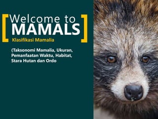 Welcome to
[ ]Klasifikasi Mamalia
MAMALS
(Taksonomi Mamalia, Ukuran,
Pemanfaatan Waktu, Habitat,
Stara Hutan dan Ordo
 
