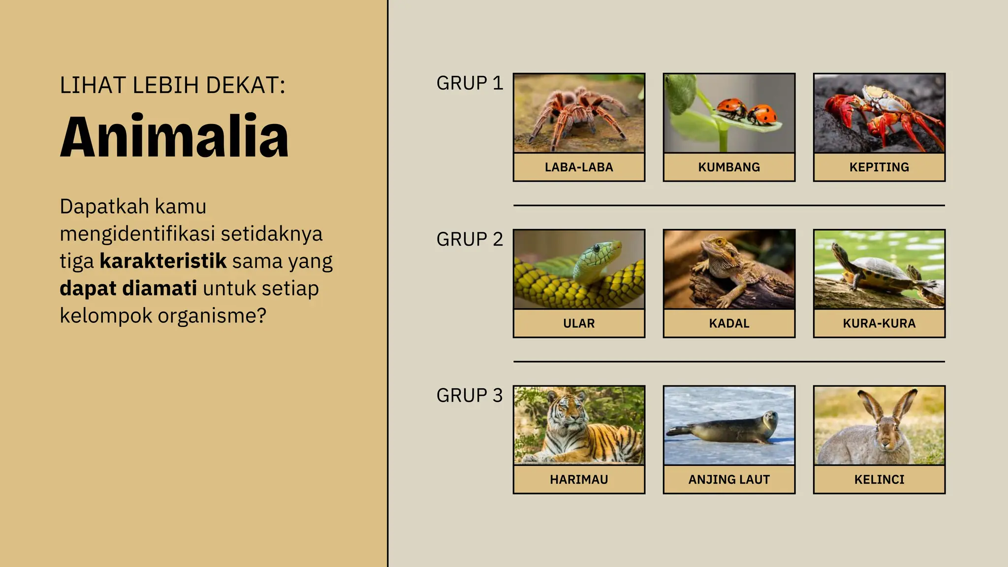 Klasifikasi Makhluk Hidup Biologi Kelas X | PPTX