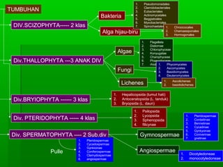 Klasifikasi Organisme
