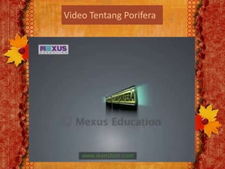 Video Tentang Porifera
 