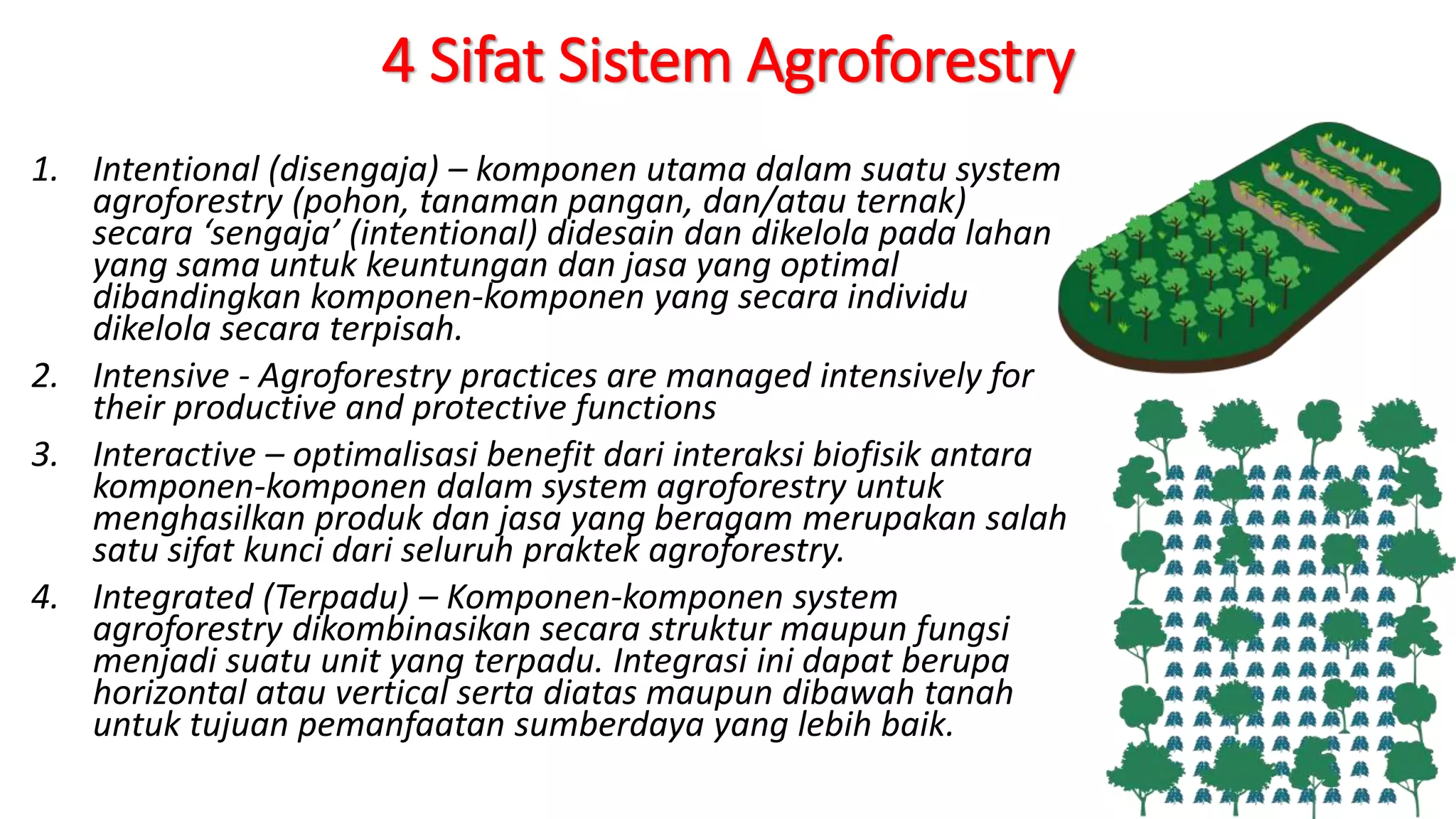 Klasifikasi Sistem Agroforestry.pdf