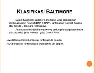 KLASIFIKASI BALTIMORE
Dalam Klasifikasi Baltimore, membagi virus berdasarkan
kombinasi asam nukleat (DNA & RNA),Rantai asam nukleat (tunggal
atau Ganda), dan cara replikasinya.
Asam Nukleat adalah senyawa yg berfungsi sebagai pembawa
sifat. Ada dua jenis Nukleat , yaitu DNA & RNA.
DNA (Double Helix) berbentuk rantai ganda berpilin.
RNA berbentuk rantai tunggal atau ganda tak berpilin.
 