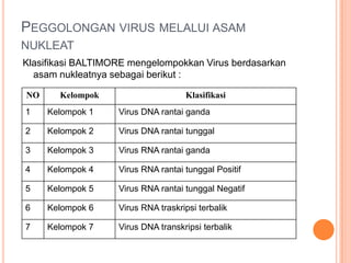 PEGGOLONGAN VIRUS MELALUI ASAM
NUKLEAT
Klasifikasi BALTIMORE mengelompokkan Virus berdasarkan
asam nukleatnya sebagai berikut :
NO Kelompok Klasifikasi
1 Kelompok 1 Virus DNA rantai ganda
2 Kelompok 2 Virus DNA rantai tunggal
3 Kelompok 3 Virus RNA rantai ganda
4 Kelompok 4 Virus RNA rantai tunggal Positif
5 Kelompok 5 Virus RNA rantai tunggal Negatif
6 Kelompok 6 Virus RNA traskripsi terbalik
7 Kelompok 7 Virus DNA transkripsi terbalik
 