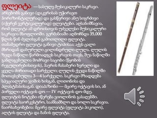 ფლეიტა — სასულე მუსიკალური საკრავი.
არსებობს განივი (დაკვრისას უჭირავთ
ჰორიზონტალურად) და გასწვრივი ანუ სიგრძივი
(იჭერენ ვერტიკალურად) ფლეიტები. აღსანიშნავია,
რომ ფლეიტა ამ დროისთვის უძველესი მუსიკალური
საკრავია მსოფლიოში. გერმანიაში აღმოჩნდა 35,000
წლის წინ ძვლისგან გამოთლილი ფლეიტა.
თანამედრო ფლეიტა განივი ტიპისაა; აქვს ცალი
მხრიდან დახურული ცილინდრული ლულა. ლულის
ზედა ნაწილი წარმოადგეს საკრავის თავს, შუა ნაწილში
განლაგებულია მოძრავი საცობი (წყობის
რეგულირებისთვის), ჰაერის ჩასაბერი ხვრელი და
ყველა ძირითადი სარქველი; ლულის ქვედა ნაწილში
მოთავსებულია 3—4 სარქველი. საკრავი მზადდება
სპეციალური ჯიშის ხისგან, ლითონისა და
პლასტმასისაგან. დიაპაზონი — მცირე ოქტავის სი, ან
პირველი ოქტავის დო — IV ოქტავის დო-მდე.
ფლეიტის ნოტები იწერება ვიოლინოს გასაღებში.
ფლეიტა საორკესტრო, საანსამბლო და სოლო საკრავია.
ნაირსახეობებია: მცირე ფლეიტა (ფლეიტა პიკოლო),
ალტის ფლეიტა და ბანის ფლეიტა.
 