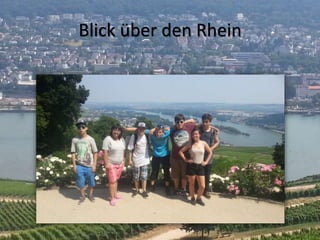 Blick über den Rhein
 