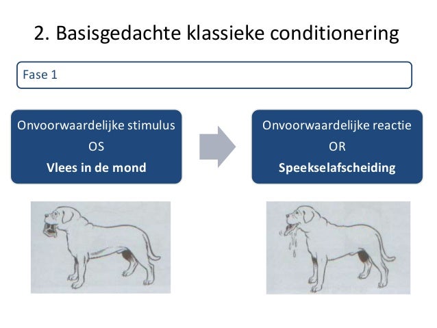 Klassieke conditionering