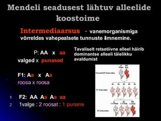 Mendeli seadusest lähtuv alleelide koostoime        P:  AA   x  aa valged  x  punased F1 :   A a   x  A a roosa x roos a F2:   AA   A a  A a   aa 1 valge :  2 roosat  :  1 punane Intermediaarsus   -  vanemorganismiga võrreldes vahepealsete tunnuste ilmnemine .   Tavaliselt retsetiivne alleel häirib dominantse alleeli täielikku avaldumist 