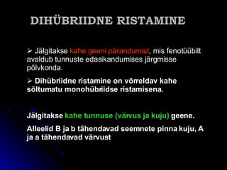DI HÜBRIIDNE RISTAMINE   Jälgitakse  kahe geeni  pärandumist , mis fenotüübilt avaldub tunnuste edasikandumises järgmisse põlvkonda.  D ihübriidne ristamine on võrreldav kahe sõltumatu monohübriidse ristamisena .   Jälgitakse  kahe tunnuse (värvus ja kuju)  geene. Alleelid B ja  b tähenda vad  seemnete pinna kuju,  A ja  a tähenda vad  värvust  