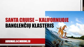 AURIMAS.G@MRUNI.EU
SANTA CRUISE – KALIFORNIJOJE
BANGLENČIŲ KLASTERIS
 