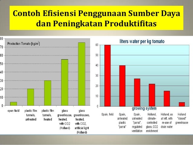Klaster Pangan Kota dan Ketahanan Pangan