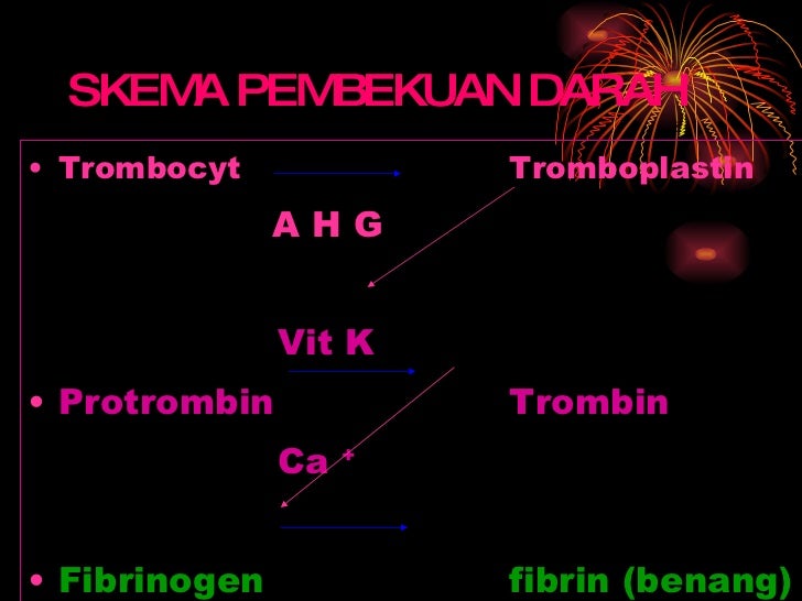 Klas xi sistem peredaran darah hewan dan transportasi tumbuhan