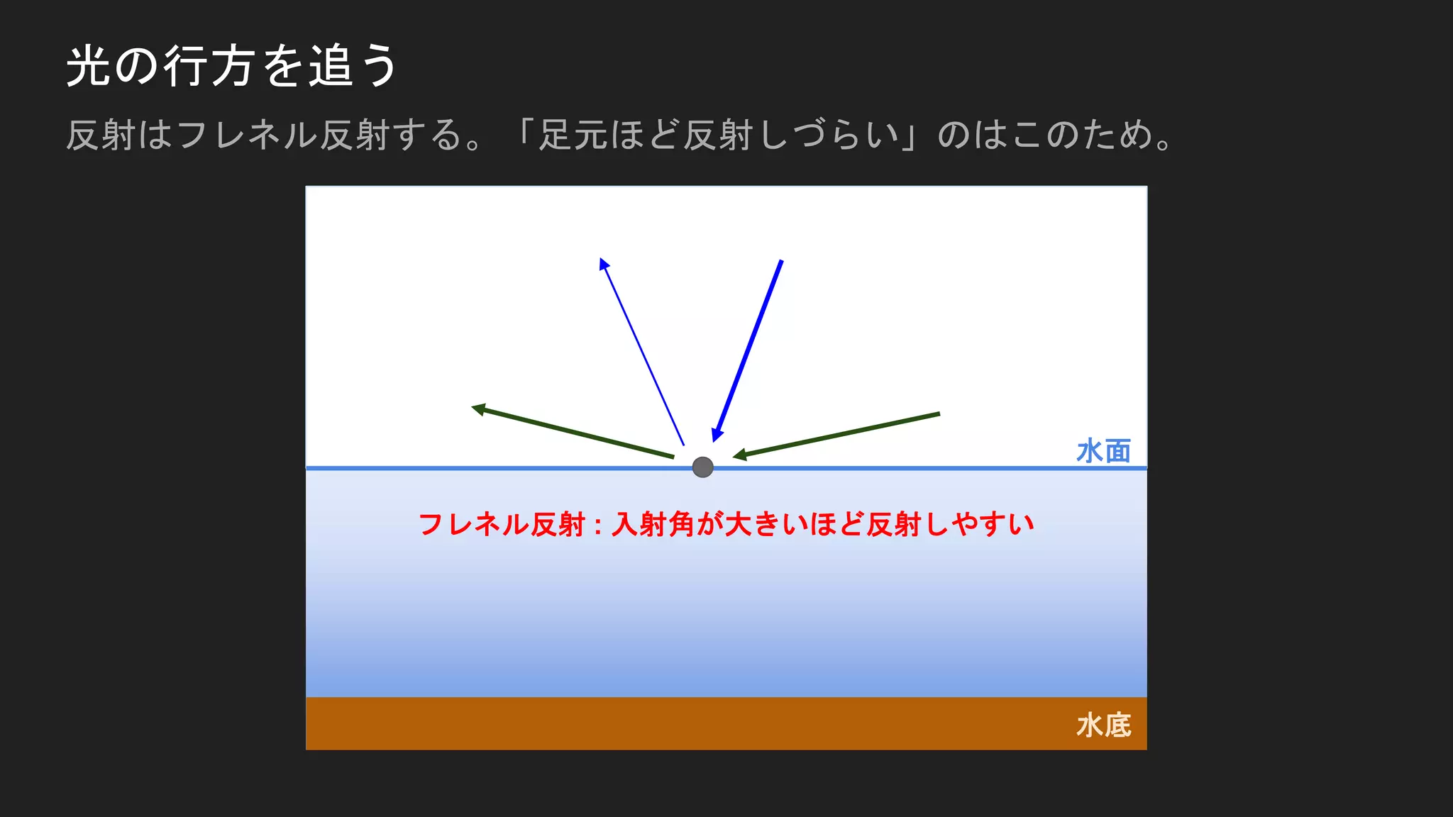 光の行方を追う
反射はフレネル反射する。「足元ほど反射しづらい」のはこのため。
水面
水底
フレネル反射 : 入射角が大きいほど反射しやすい
 