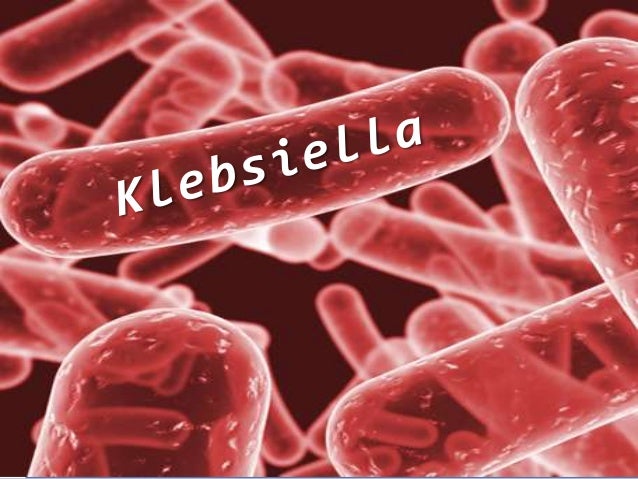 Klebsiella
