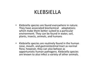 KLEBSIELLA
• Klebsiella species are found everywhere in nature.
They have associated biochemical adaptations
which make them better suited to a particular
environment. They can be found in water, soil,
plants, insects, animals, and humans
• Klebsiella species are routinely found in the human
nose, mouth, and gastrointestinal tract as normal
flora; however, they can also behave as
opportunistic human pathogens. Klebsiella species
are known to also infect a variety of other animals.
 