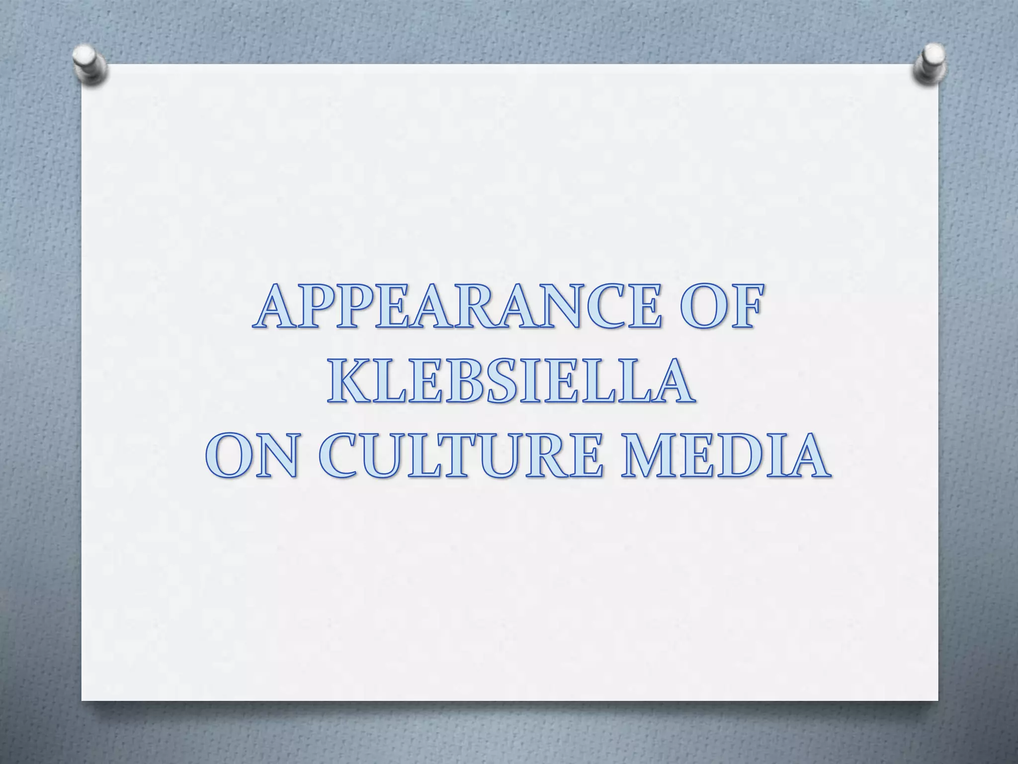 KLEBSIELLA SLIDESHARE PRESENTATION