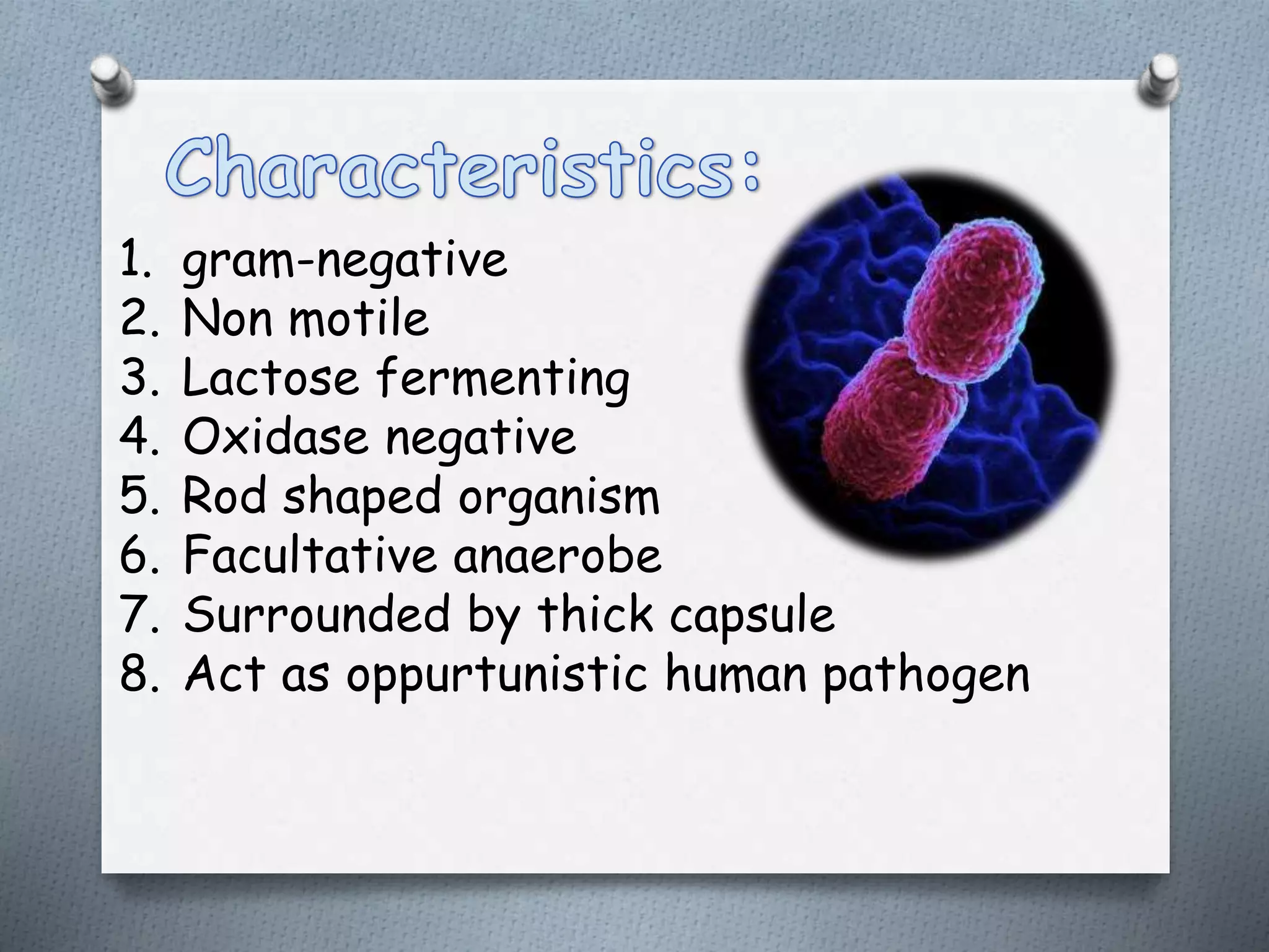 1. gram-negative
2. Non motile
3. Lactose fermenting
4. Oxidase negative
5. Rod shaped organism
6. Facultative anaerobe
7. Surrounded by thick capsule
8. Act as oppurtunistic human pathogen
 