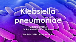 Klebsiella
pneumoniae
MICROBIOLOGÍA
Dr. Rubén Hernández Martínez
Daniela Yelitza Ramirez López

 