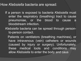 Beautiful How Do You Get Klebsiella Scene for Your Screen Beautiful How Do You Get Klebsiella Scene for Your Screen