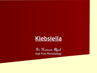 Klebsiella
Dr Kamran Afzal
Asst Prof Microbiology
 