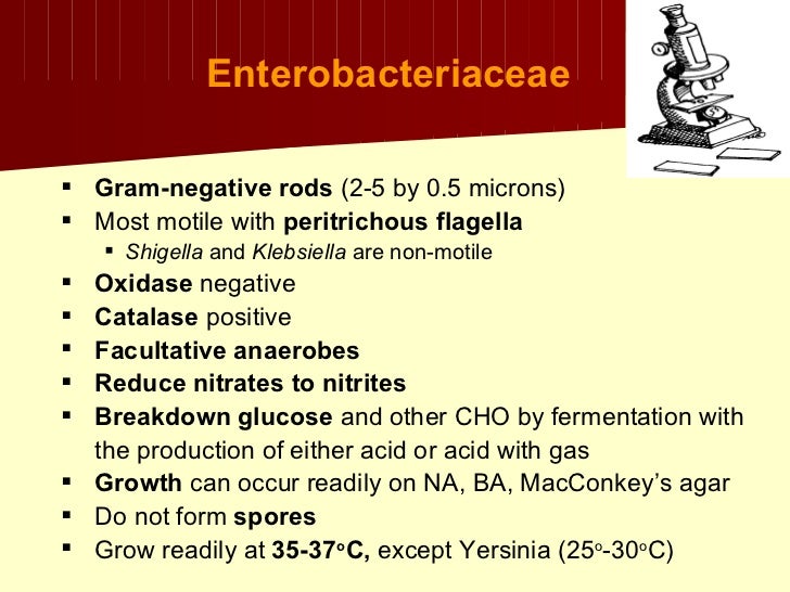 Klebsiella+proteus+uti