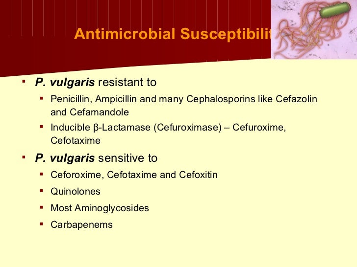Klebsiella+proteus+uti