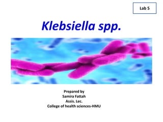 Klebsiella spp.
Prepared by
Samira Fattah
Assis. Lec.
College of health sciences-HMU
Lab 5
 