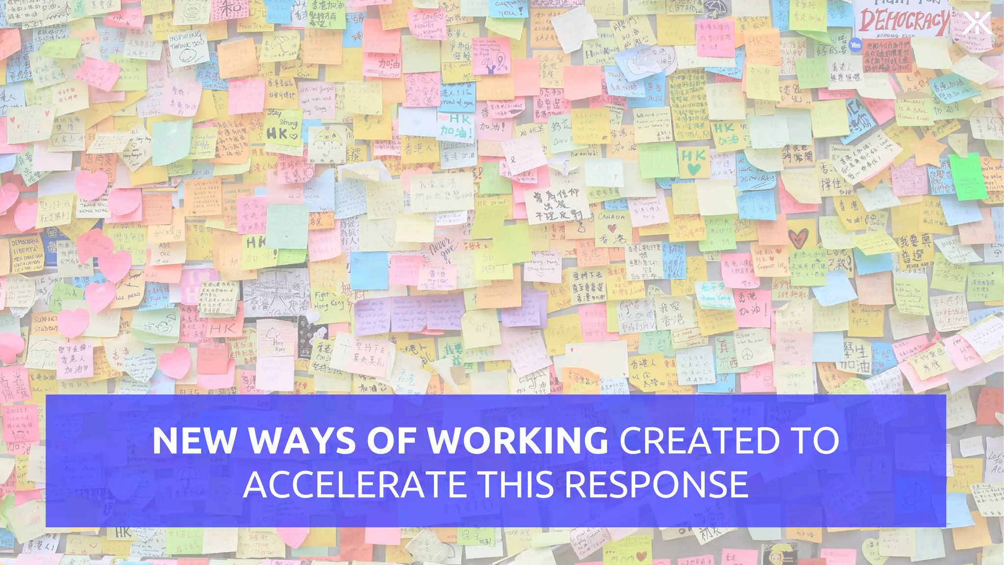 NEW WAYS OF WORKING CREATED TO
ACCELERATE THIS RESPONSE
 