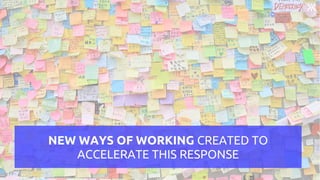 NEW WAYS OF WORKING CREATED TO
ACCELERATE THIS RESPONSE
 