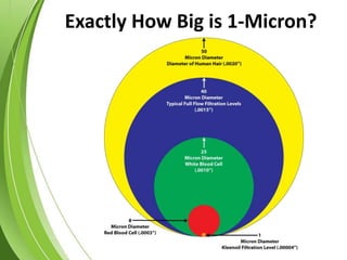 Exactly How Big is 1-Micron?
 
