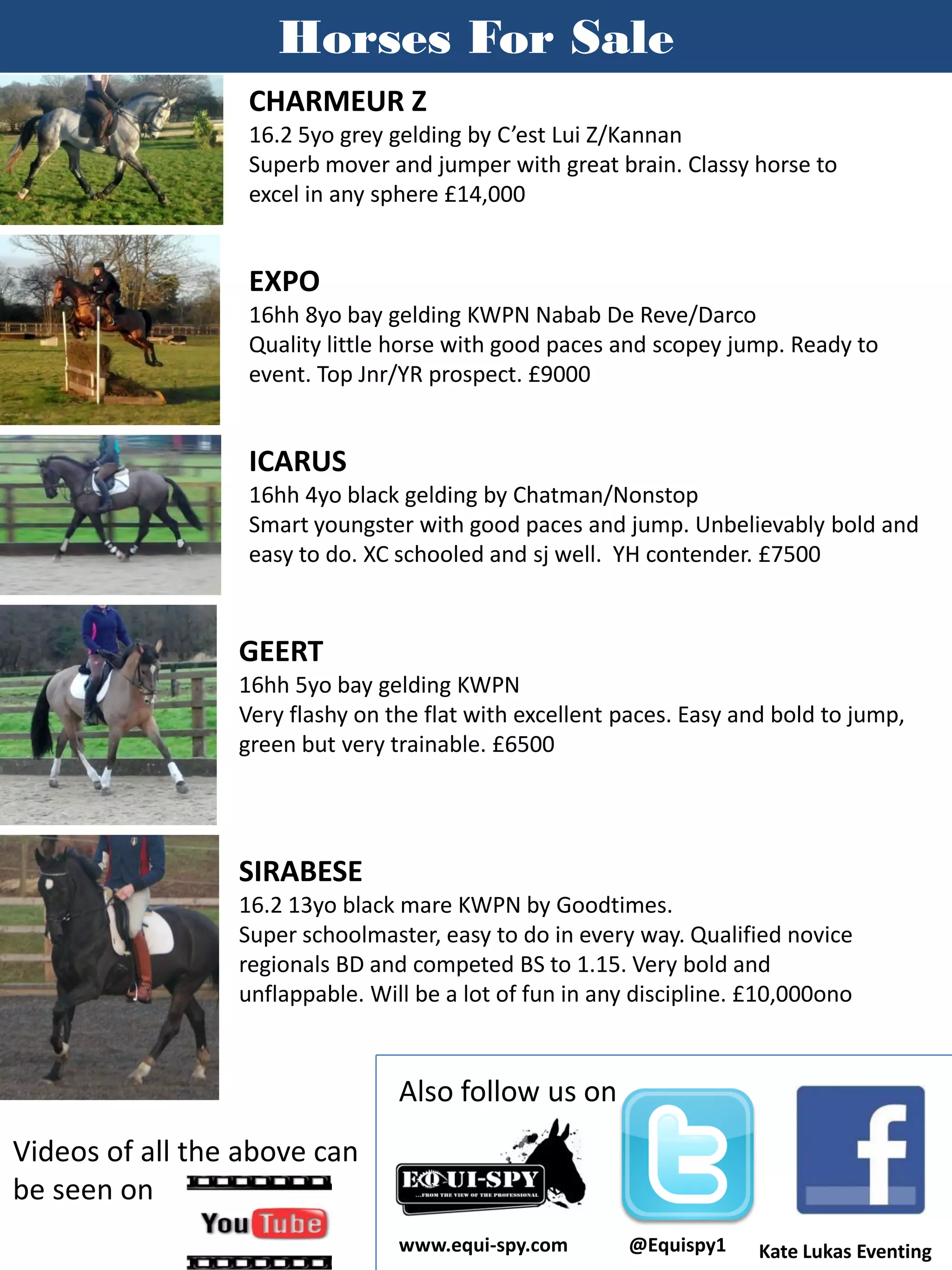 Horses For Sale
                  CHARMEUR Z
                  16.2 5yo grey gelding by C’est Lui Z/Kannan
                  Superb mover and jumper with great brain. Classy horse to
                  excel in any sphere £14,000


                  EXPO
                  16hh 8yo bay gelding KWPN Nabab De Reve/Darco
                  Quality little horse with good paces and scopey jump. Ready to
                  event. Top Jnr/YR prospect. £9000


                  ICARUS
                  16hh 4yo black gelding by Chatman/Nonstop
                  Smart youngster with good paces and jump. Unbelievably bold and
                  easy to do. XC schooled and sj well. YH contender. £7500



                 GEERT
                 16hh 5yo bay gelding KWPN
                 Very flashy on the flat with excellent paces. Easy and bold to jump,
                 green but very trainable. £6500




                 SIRABESE
                 16.2 13yo black mare KWPN by Goodtimes.
                 Super schoolmaster, easy to do in every way. Qualified novice
                 regionals BD and competed BS to 1.15. Very bold and
                 unflappable. Will be a lot of fun in any discipline. £10,000ono



                                 Also follow us on
Videos of all the above can
be seen on
                                 www.equi-spy.com        @Equispy1    Kate Lukas Eventing
 