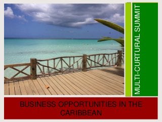 MULTI-CURTURALSUMMIT
BUSINESS OPPORTUNITIES IN THE
CARIBBEAN
 