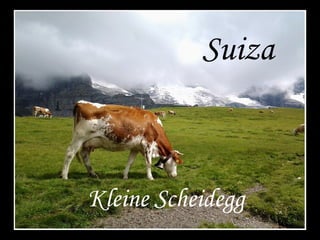 Suiza

Kleine Scheidegg

 