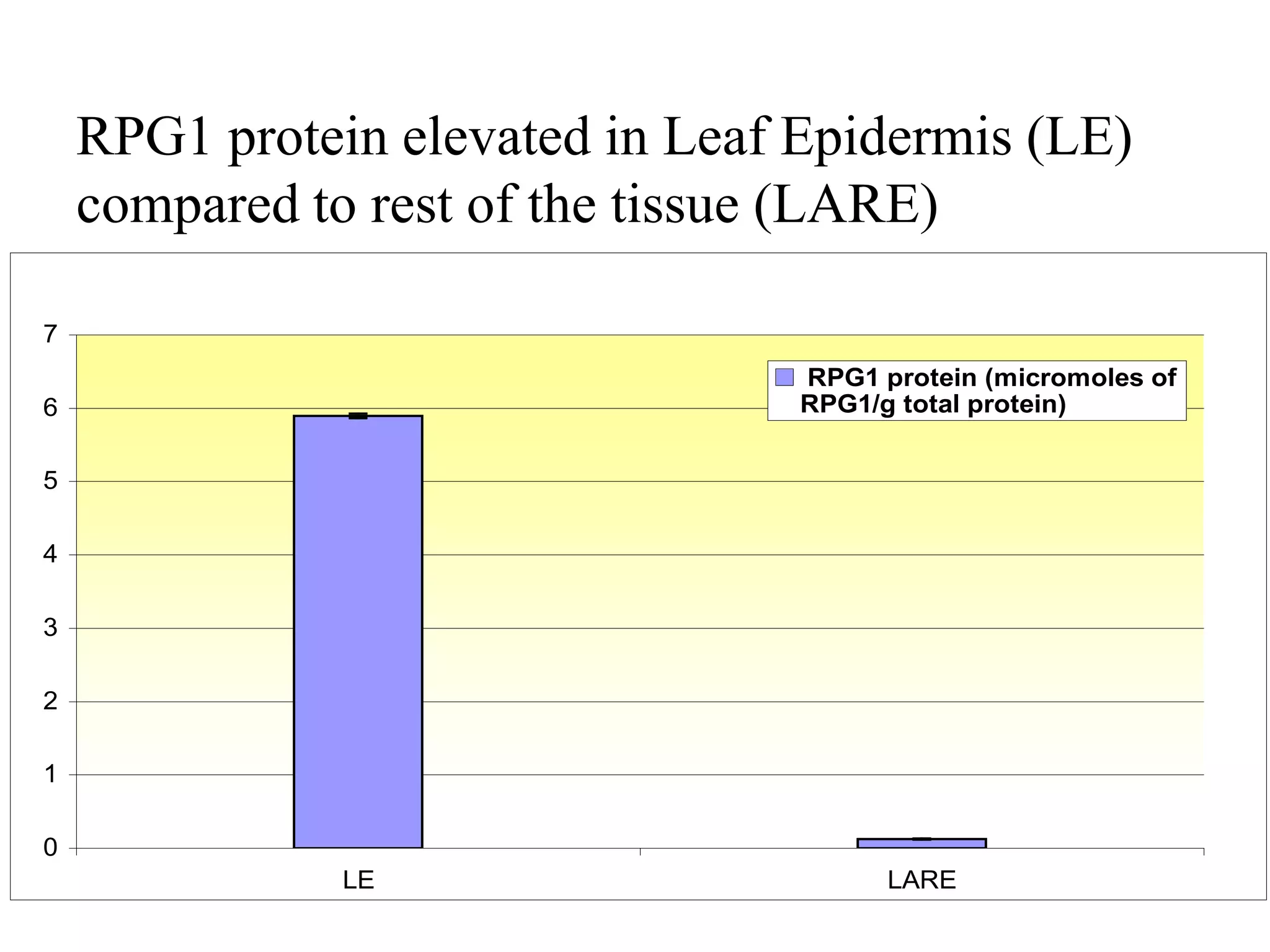 RPG1 protein elevated in Leaf Epidermis (LE)
    compared to rest of the tissue (LARE)

7
                                  RPG1 protein (micromoles of
6                                 RPG1/g total protein)


5

4

3

2

1

0
               LE                       LARE
 