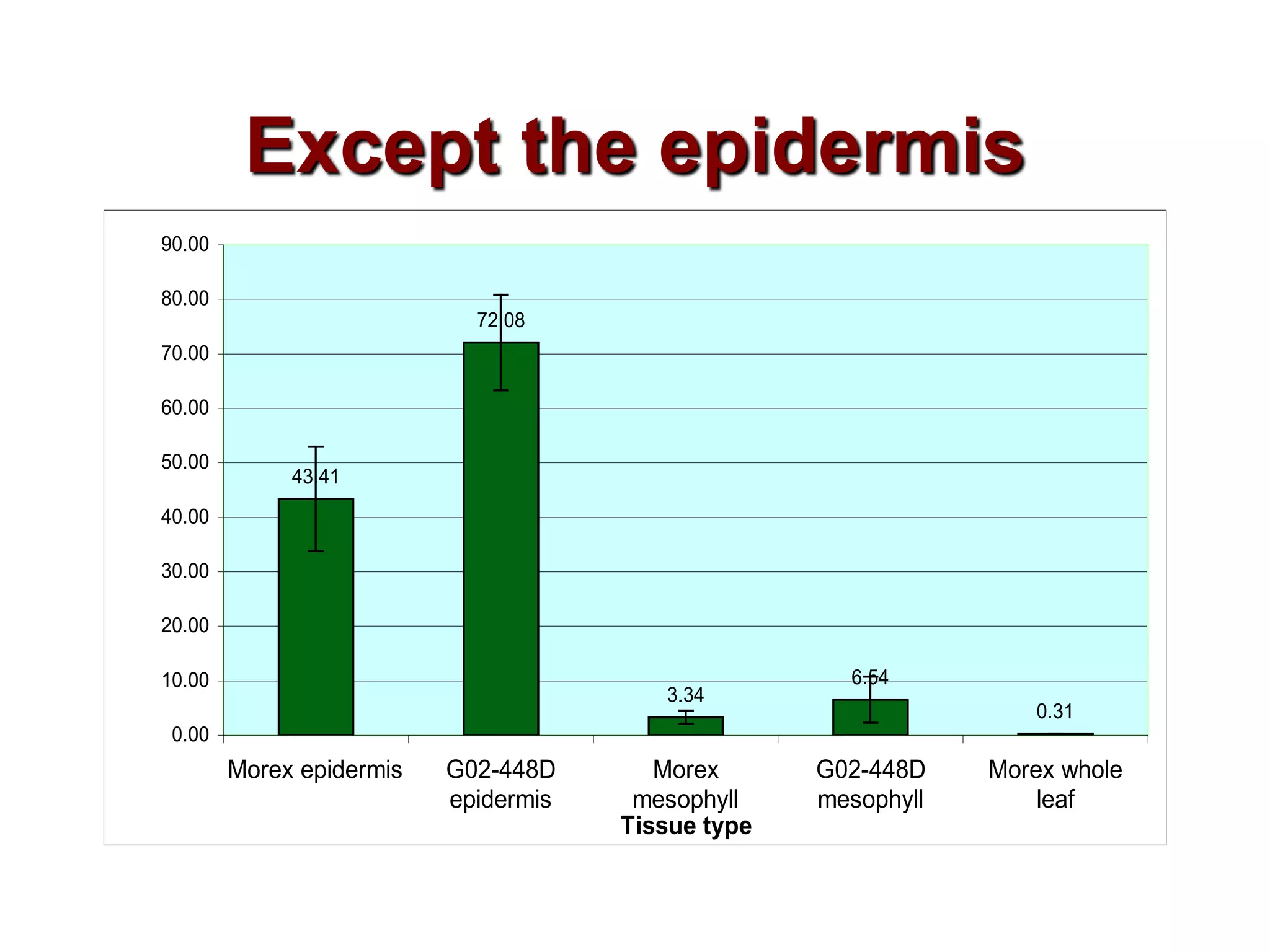Except the epidermis
90.00

80.00
                            72.08
70.00

60.00

50.00
             43.41
40.00

30.00

20.00

10.00                                                 6.54
                                         3.34
                                                                   0.31
 0.00
        Morex epidermis   G02-448D       Morex      G02-448D    Morex whole
                          epidermis    mesophyll    mesophyll       leaf
                                      Tissue type
 