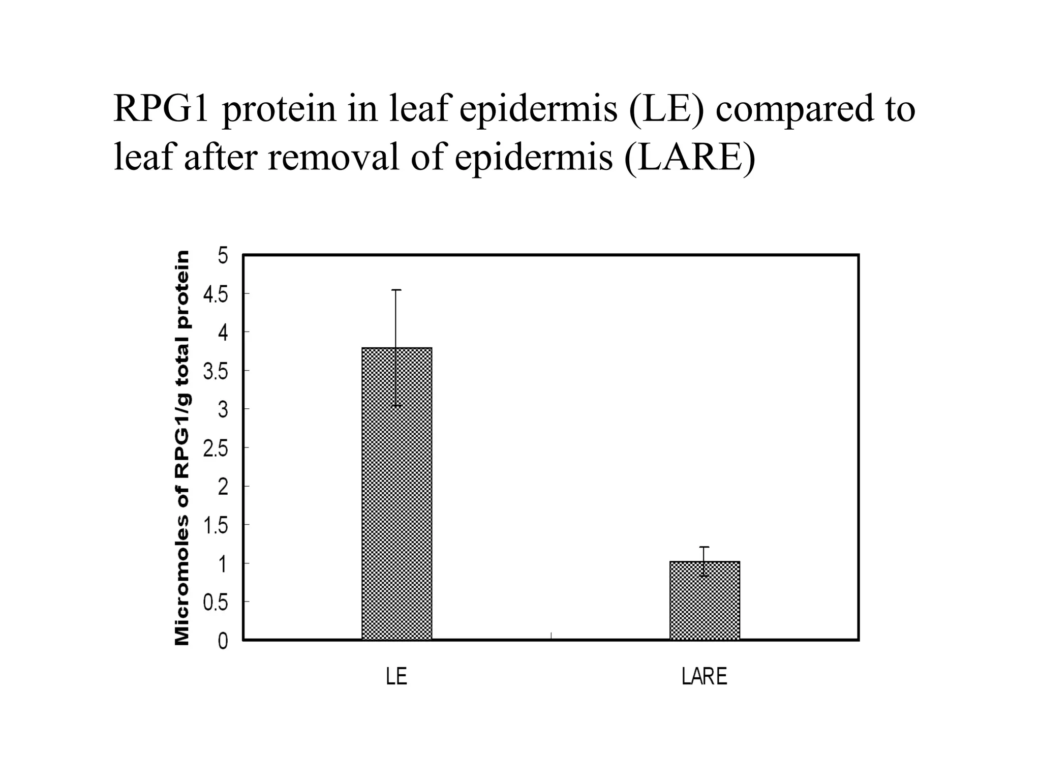RPG1 protein in leaf epidermis (LE) compared to
leaf after removal of epidermis (LARE)
 